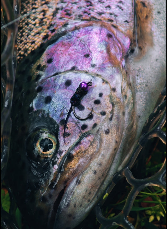 Jig Nymphe | MP-Baitworks