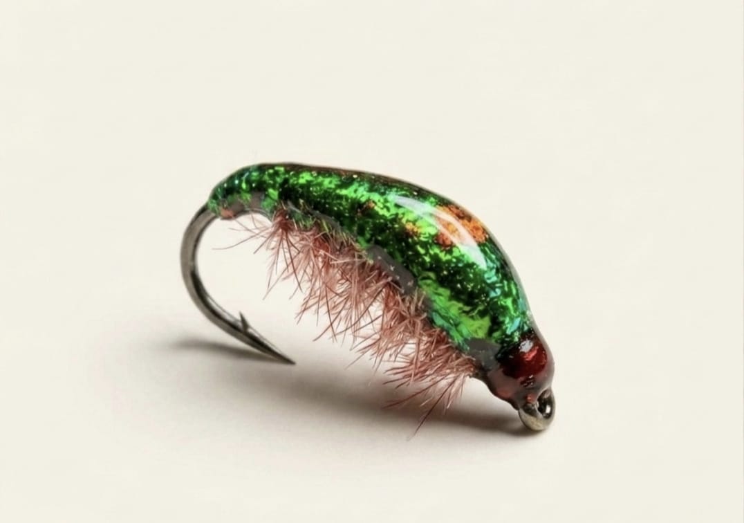 Hydropsyche Nymphe – Naturgetreue Forellen Fliege | MP-Baitworks