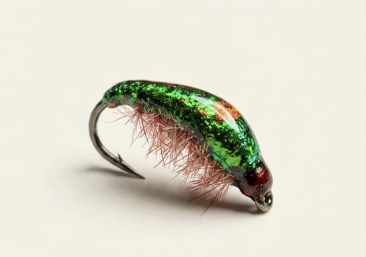 Hydropsyche Nymphe | MP-Baitworks