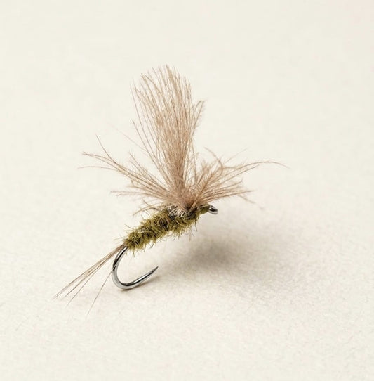 Mayfly Trockenfliege | MP-Baitworks