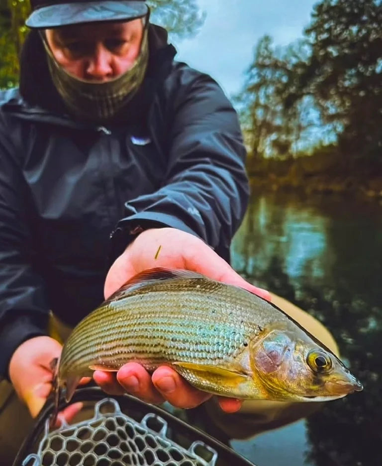 Black Bead Head Nymph – Forellen Fliege | MP-Baitworks