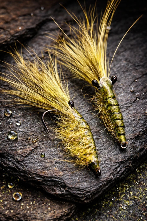 Garnelen Köder Green Tide Shrimp | MP-Baitworks