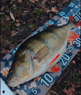 Craw Köder Lord Lure | MP-Baitworks