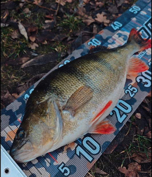 Craw Köder Lord Lure | MP-Baitworks