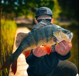Predator Streamer  | MP-Baitworks