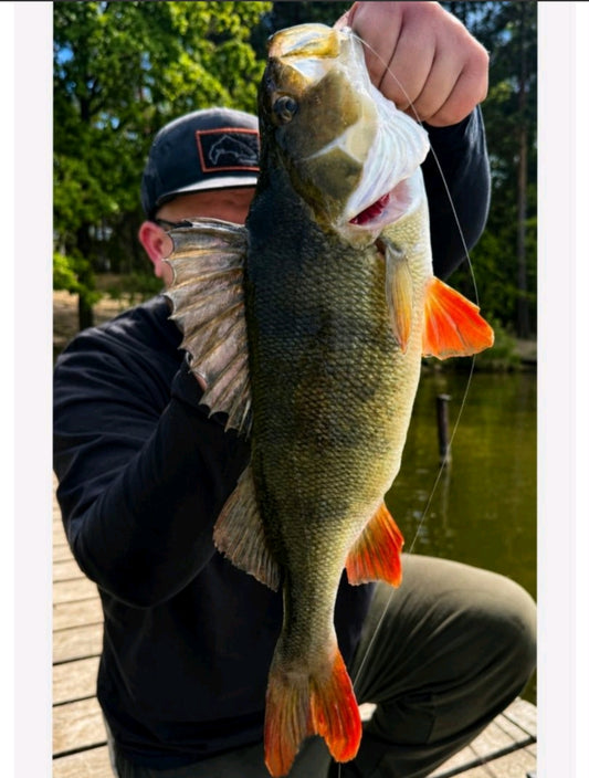Predator Streamer | MP-Baitworks