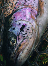 Jig Nymphe | MP-Baitworks