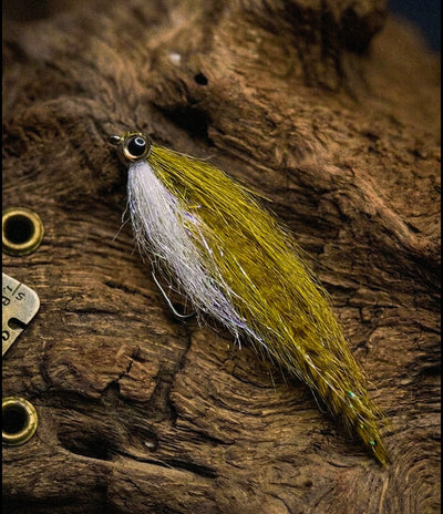 Olive Shiner | MP-Baitworks