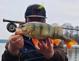 Mystery Baitfish Streamer Köderbox | MP-Baitworks